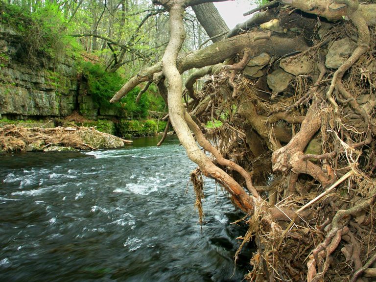 Things to do at Apple River Canyon State Park Near Galena