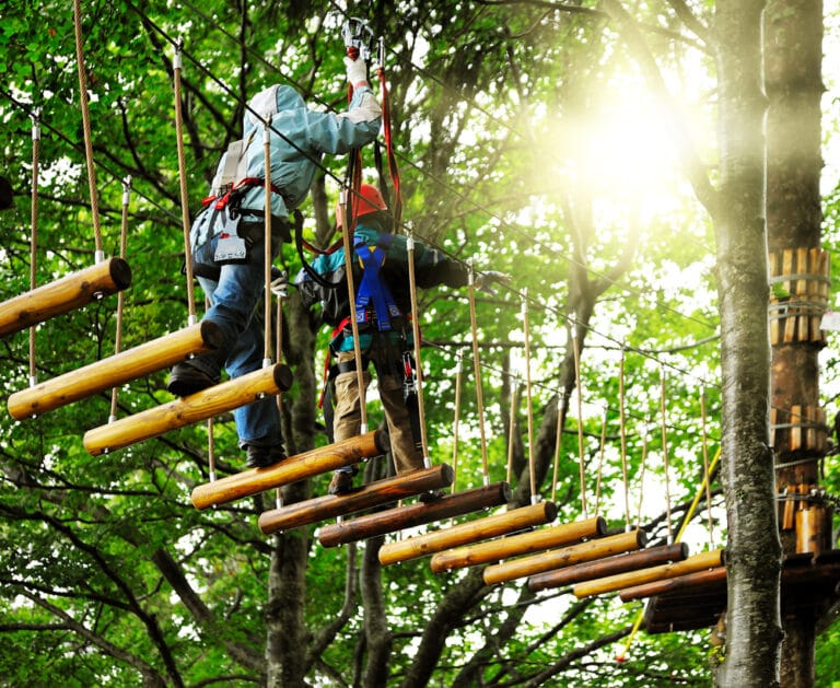 long hollow canopy tours