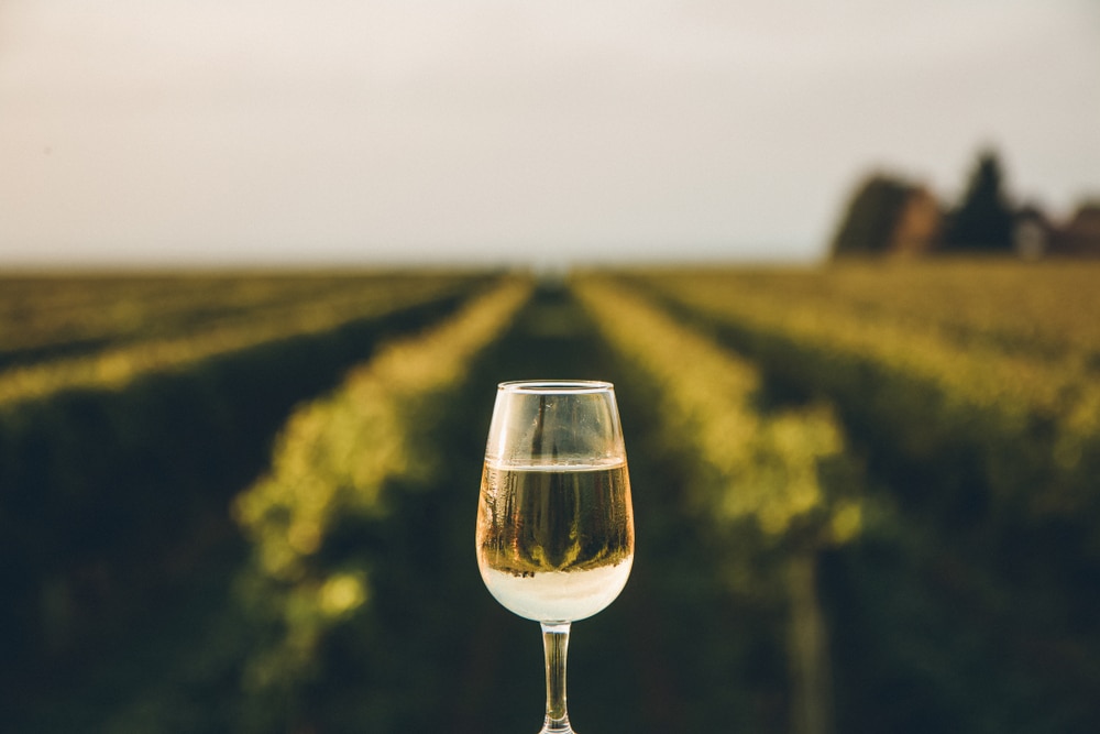 The Best Galena Wine Tours to Take in 2023