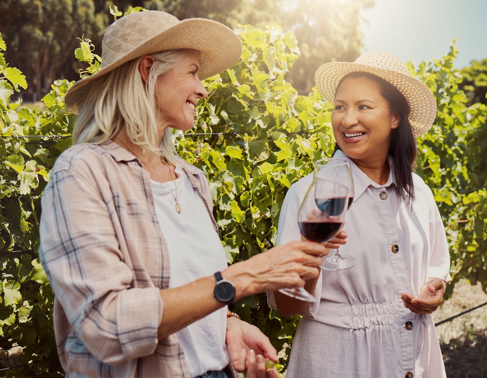 Two women enjoying wine at Galenad Cellars Vineyard in Illinois
