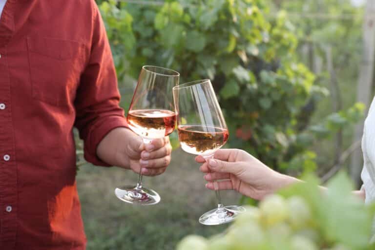 couple clinking glasses of wine at Galena Cellars Vineyard