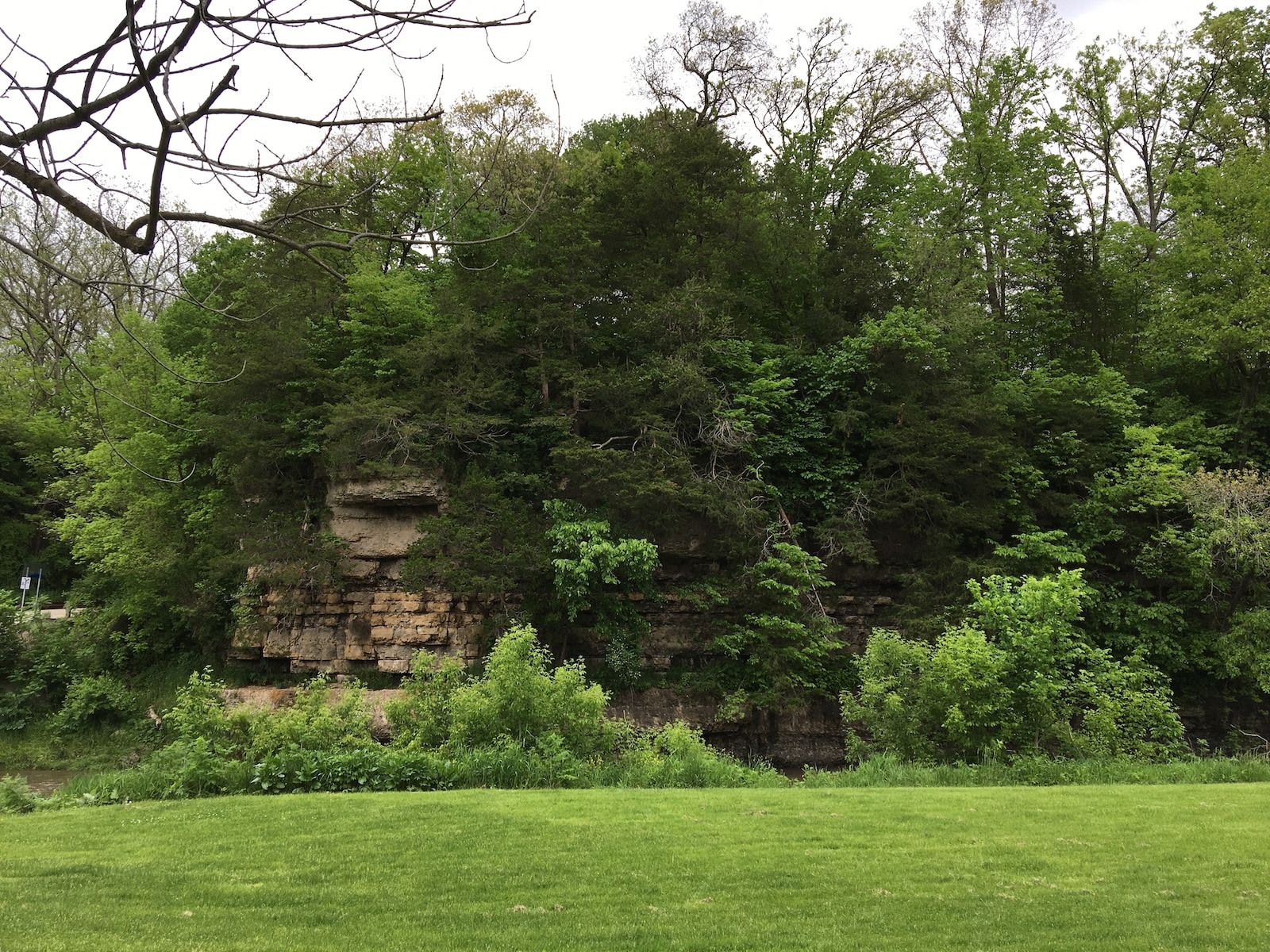 Limestone bluffs at Apple River Canyon State Park
